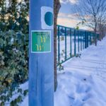 Nabu-Naturlehrpfad "Wilde Weiden" - Touringen Stempel 267, 268, 269, 270)) - <a href="https://ms29.de">© Michael Stollmann</a> Nabu-Naturlehrpfad "Wilde Weiden" - © Michael Stollmann