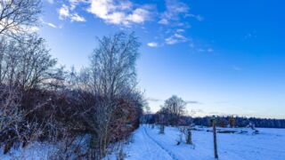 Nabu-Naturlehrpfad "Wilde Weiden" - Touringen Stempel 267, 268, 269, 270)) - <a href="https://ms29.de">© Michael Stollmann</a> Nabu-Naturlehrpfad "Wilde Weiden" - © Michael Stollmann
