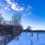 Nabu-Naturlehrpfad "Wilde Weiden" - Touringen Stempel 267, 268, 269, 270)) - <a href="https://ms29.de">© Michael Stollmann</a> Nabu-Naturlehrpfad "Wilde Weiden" - © Michael Stollmann