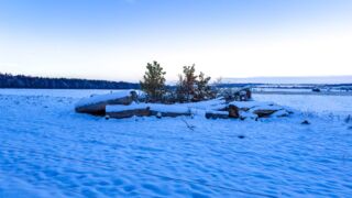 Nabu-Naturlehrpfad "Wilde Weiden" - Touringen Stempel 267, 268, 269, 270)) - <a href="https://ms29.de">© Michael Stollmann</a> Nabu-Naturlehrpfad "Wilde Weiden" - © Michael Stollmann