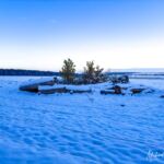 Nabu-Naturlehrpfad "Wilde Weiden" - Touringen Stempel 267, 268, 269, 270)) - <a href="https://ms29.de">© Michael Stollmann</a> Nabu-Naturlehrpfad "Wilde Weiden" - © Michael Stollmann