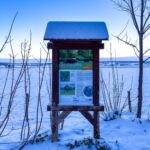 Nabu-Naturlehrpfad "Wilde Weiden" - Touringen Stempel 267, 268, 269, 270)) - <a href="https://ms29.de">© Michael Stollmann</a> Nabu-Naturlehrpfad "Wilde Weiden" - © Michael Stollmann