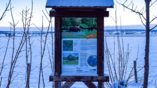 Nabu-Naturlehrpfad "Wilde Weiden" - Touringen Stempel 267, 268, 269, 270)) - <a href="https://ms29.de">© Michael Stollmann</a> Nabu-Naturlehrpfad "Wilde Weiden" - © Michael Stollmann