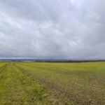 Ein Bild von der Wanderung "zum Mittelpunkt Deutschlands" rund um die Seebachtalsperre - 14,2 KM - Touringenstempel 45 + Iron Lake Challenge - <a href="https://wanderstruck.de">© Michael Stollmann</a> zwischen den Feldern durch - © Michael Stollmann