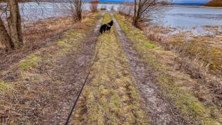 Lady auf dem Damm - © Michael Stollmann