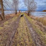 Ein Bild von der Wanderung "zum Mittelpunkt Deutschlands" rund um die Seebachtalsperre - 14,2 KM - Touringenstempel 45 + Iron Lake Challenge - <a href="https://wanderstruck.de">© Michael Stollmann</a> Lady auf dem Damm - © Michael Stollmann