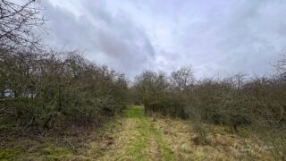durch die Dornenhecke gehts auch noch - © Michael Stollmann