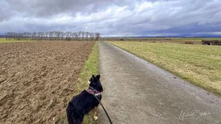 immer der Nase nach - © Michael Stollmann