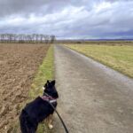 Ein Bild von der Wanderung "zum Mittelpunkt Deutschlands" rund um die Seebachtalsperre - 14,2 KM - Touringenstempel 45 + Iron Lake Challenge - <a href="https://wanderstruck.de">© Michael Stollmann</a> immer der Nase nach - © Michael Stollmann