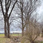 Ein Bild von der Wanderung "zum Mittelpunkt Deutschlands" rund um die Seebachtalsperre - 14,2 KM - Touringenstempel 45 + Iron Lake Challenge - <a href="https://wanderstruck.de">© Michael Stollmann</a> Lady auf dem Steg - © Michael Stollmann