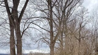 Lady auf dem Steg - © Michael Stollmann