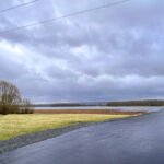 Ein Bild von der Wanderung "zum Mittelpunkt Deutschlands" rund um die Seebachtalsperre - 14,2 KM - Touringenstempel 45 + Iron Lake Challenge - <a href="https://wanderstruck.de">© Michael Stollmann</a> und wieder angekommen. - © Michael Stollmann