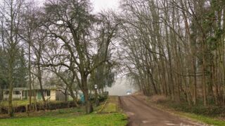 Fahner Höhen Runde 01 - 23km - © Michael Stollmann