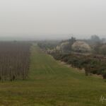 - <a href="https://wanderstruck.de">© Michael Stollmann</a> Fahner Höhen Runde 01 - 23km - © Michael Stollmann