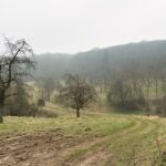 Touringen Stempel 366 - Klein Fahner - hier im Rücken des Fotografen ;-) - <a href="https://wanderstruck.de">© Michael Stollmann</a> Fahner Höhen Runde 01 - 23km - © Michael Stollmann