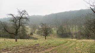 Fahner Höhen Runde 01 - 23km - © Michael Stollmann