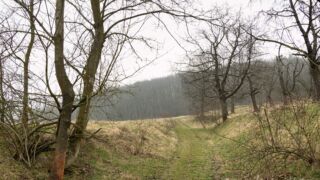 Fahner Höhen Runde 01 - 23km - © Michael Stollmann