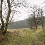 - <a href="https://wanderstruck.de">© Michael Stollmann</a> Fahner Höhen Runde 01 - 23km - © Michael Stollmann