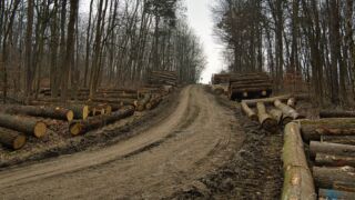 Fahner Höhen Runde 01 - 23km - © Michael Stollmann