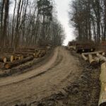 - <a href="https://wanderstruck.de">© Michael Stollmann</a> Fahner Höhen Runde 01 - 23km - © Michael Stollmann