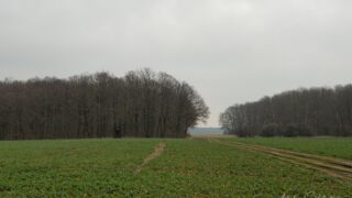 Fahner Höhen Runde 01 - 23km - © Michael Stollmann