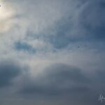 und ein paar Minuten tat dei Sonne so, als wenn sie auch dazu gehören wollte... - <a href="https://wanderstruck.de">© Michael Stollmann</a> Fahner Höhen Runde 01 - 23km - © Michael Stollmann