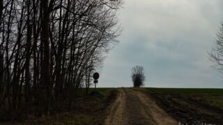 Fahner Höhen Runde 01 - 23km - © Michael Stollmann
