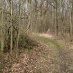 - <a href="https://wanderstruck.de">© Michael Stollmann</a> Fahner Höhen Runde 01 - 23km - © Michael Stollmann