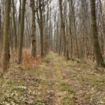 - <a href="https://wanderstruck.de">© Michael Stollmann</a> Fahner Höhen Runde 01 - 23km - © Michael Stollmann