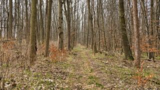 Fahner Höhen Runde 01 - 23km - © Michael Stollmann