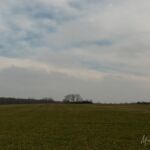 auch hier gibts viel nichts... äh Landschaft - <a href="https://wanderstruck.de">© Michael Stollmann</a> Fahner Höhen Runde 01 - 23km - © Michael Stollmann