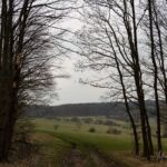 - <a href="https://wanderstruck.de">© Michael Stollmann</a> Fahner Höhen Runde 01 - 23km - © Michael Stollmann