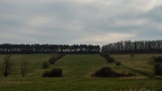 Fahner Höhen Runde 01 - 23km - © Michael Stollmann