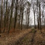 - <a href="https://wanderstruck.de">© Michael Stollmann</a> Fahner Höhen Runde 01 - 23km - © Michael Stollmann