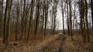 Fahner Höhen Runde 01 - 23km - © Michael Stollmann