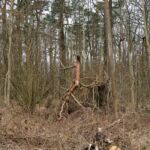 - <a href="https://wanderstruck.de">© Michael Stollmann</a> Fahner Höhen Runde 01 - 23km - © Michael Stollmann