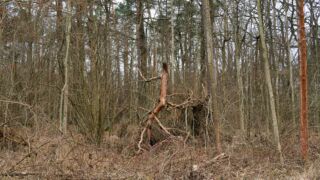 Fahner Höhen Runde 01 - 23km - © Michael Stollmann