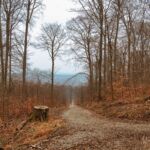 - <a href="https://wanderstruck.de">© Michael Stollmann</a> Fahner Höhen Runde 01 - 23km - © Michael Stollmann