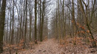 Fahner Höhen Runde 01 - 23km - © Michael Stollmann