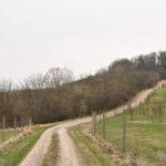 - <a href="https://wanderstruck.de">© Michael Stollmann</a> Fahner Höhen Runde 01 - 23km - © Michael Stollmann