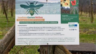 Fahner Höhen Runde 01 - 23km - © Michael Stollmann