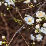 - <a href="https://wanderstruck.de">© Michael Stollmann</a> Fahner Höhen Runde 01 - 23km - © Michael Stollmann