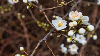 Fahner Höhen Runde 01 - 23km - © Michael Stollmann