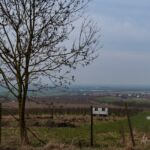 - <a href="https://wanderstruck.de">© Michael Stollmann</a> Fahner Höhen Runde 01 - 23km - © Michael Stollmann