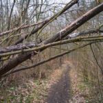 - <a href="https://wanderstruck.de">© Michael Stollmann</a> Fahner Höhen Runde 01 - 23km - © Michael Stollmann