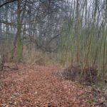 - <a href="https://wanderstruck.de">© Michael Stollmann</a> Fahner Höhen Runde 01 - 23km - © Michael Stollmann