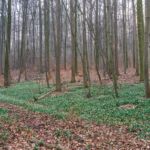 - <a href="https://wanderstruck.de">© Michael Stollmann</a> Fahner Höhen Runde 01 - 23km - © Michael Stollmann