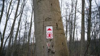 Fahner Höhen Runde 01 - 23km - © Michael Stollmann