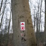 - <a href="https://wanderstruck.de">© Michael Stollmann</a> Fahner Höhen Runde 01 - 23km - © Michael Stollmann