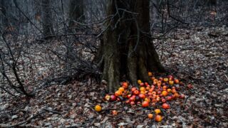 Fahner Höhen Runde 01 - 23km - © Michael Stollmann